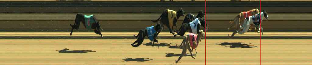 Photo finish for Warragul Race 9