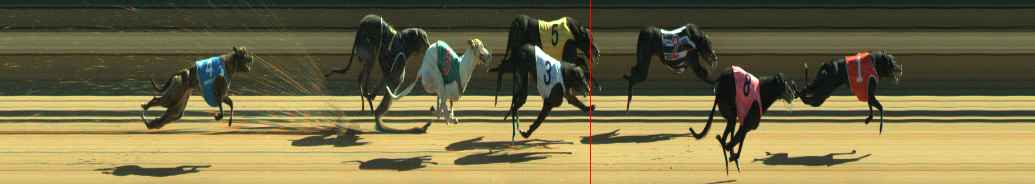 Photo finish for Warragul Race 10