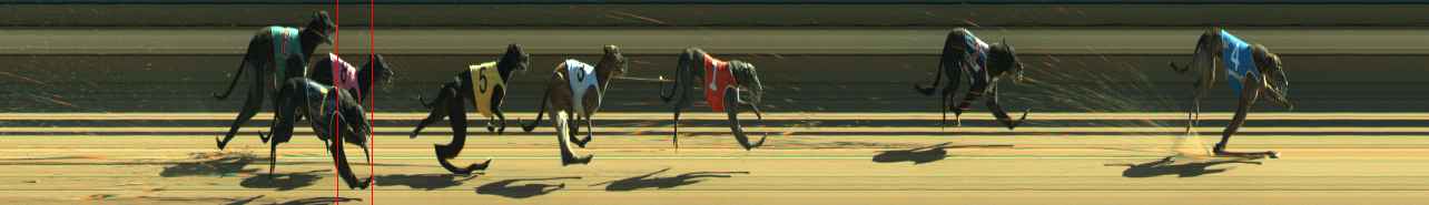 Photo finish for Warragul Race 11