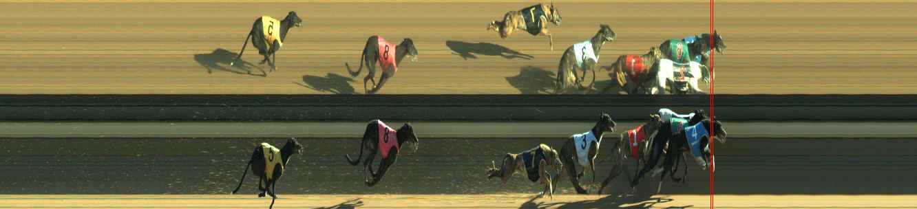 Photo finish for Warragul Race 12