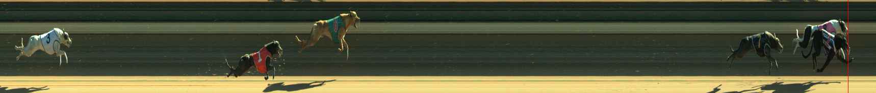 Race result finish photo