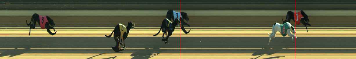 Race result finish photo