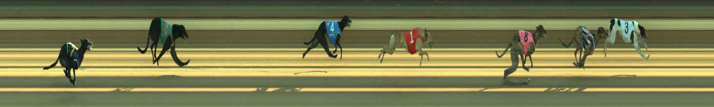 Race result finish photo