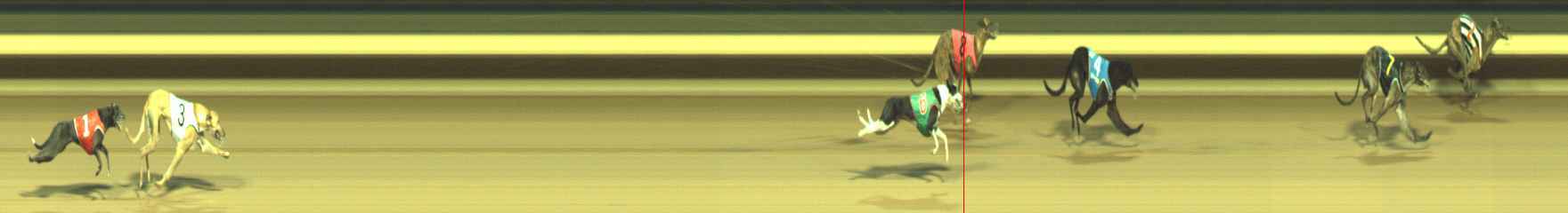 Race result finish photo