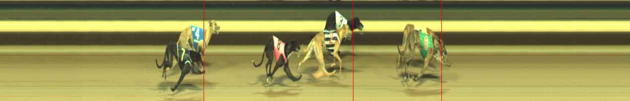 Race result finish photo