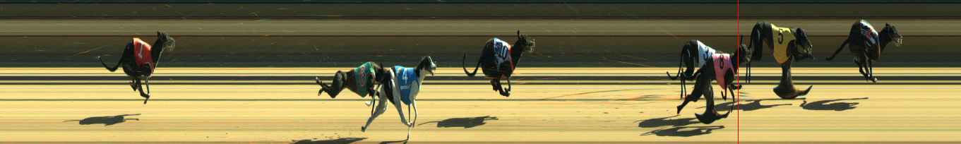 Photo finish for Warragul Race 1