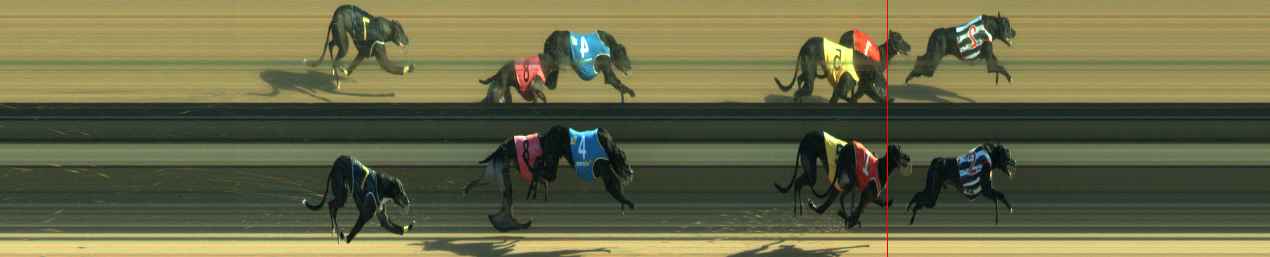 Photo finish for Warragul Race 2