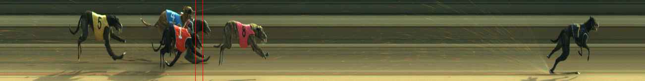 Photo finish for Warragul Race 4