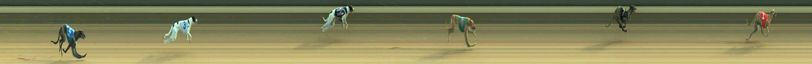 Photo finish for Warragul Race 5