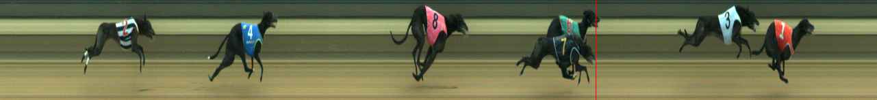Photo finish for Warragul Race 6