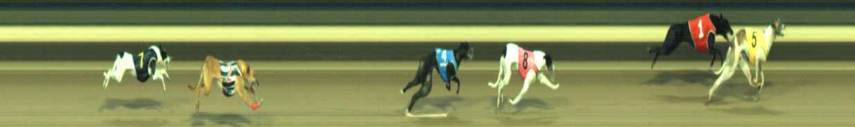 Photo finish for Warragul Race 9