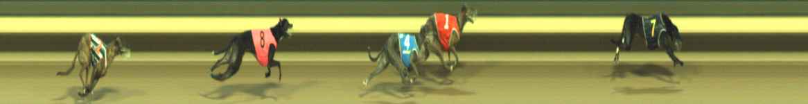 Photo finish for Warragul Race 10