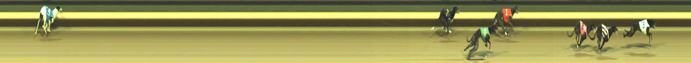Photo finish for Warragul Race 11