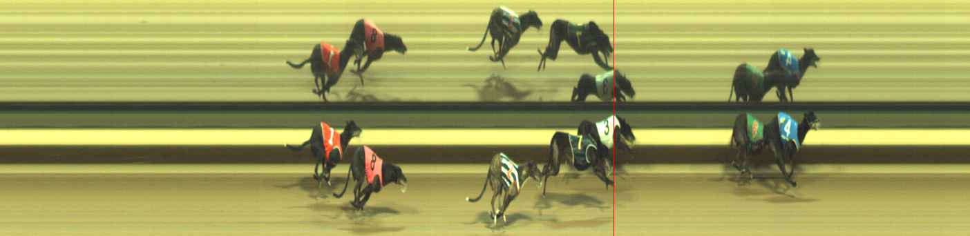 Photo finish for Warragul Race 12