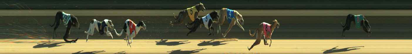 Photo finish for Warragul Race 1