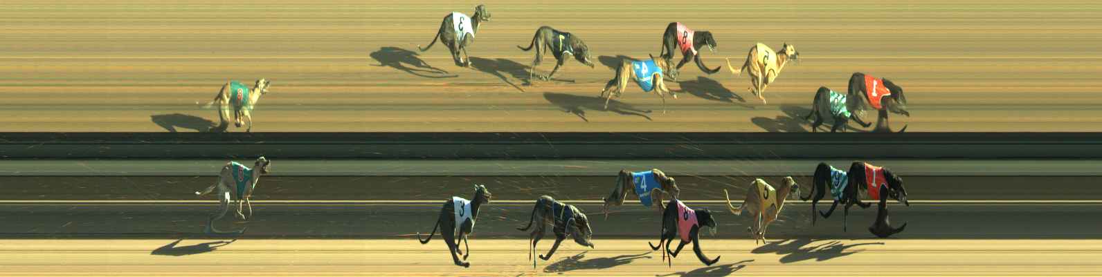 Photo finish for Warragul Race 2
