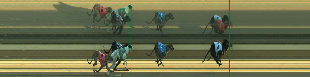 Photo finish for Warragul Race 4