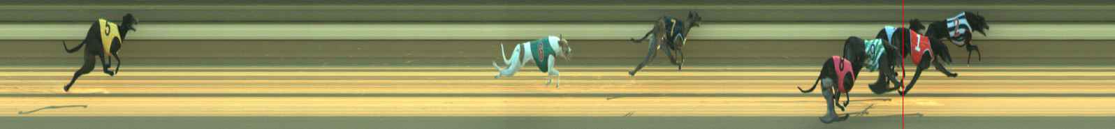Photo finish for Warragul Race 5