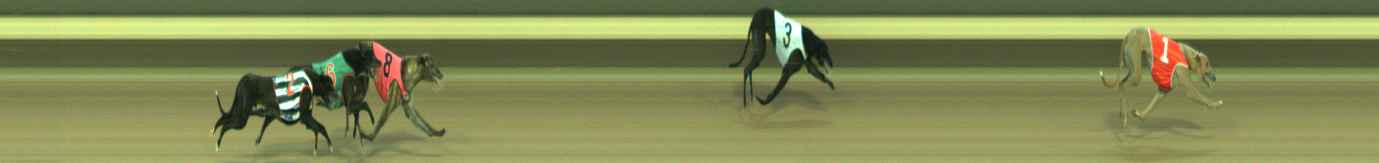 Photo finish for Warragul Race 6