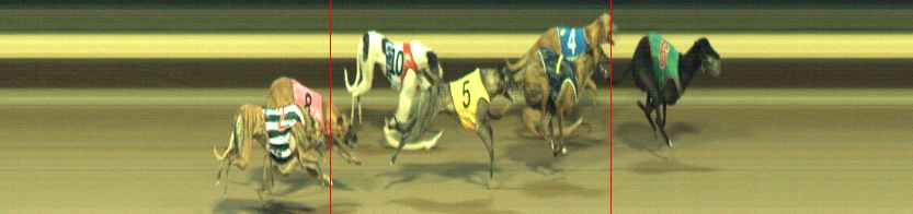 Photo finish for Warragul Race 7