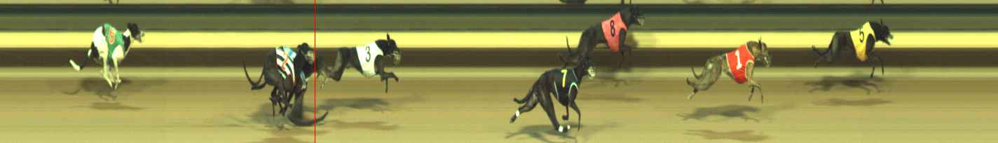 Photo finish for Warragul Race 8