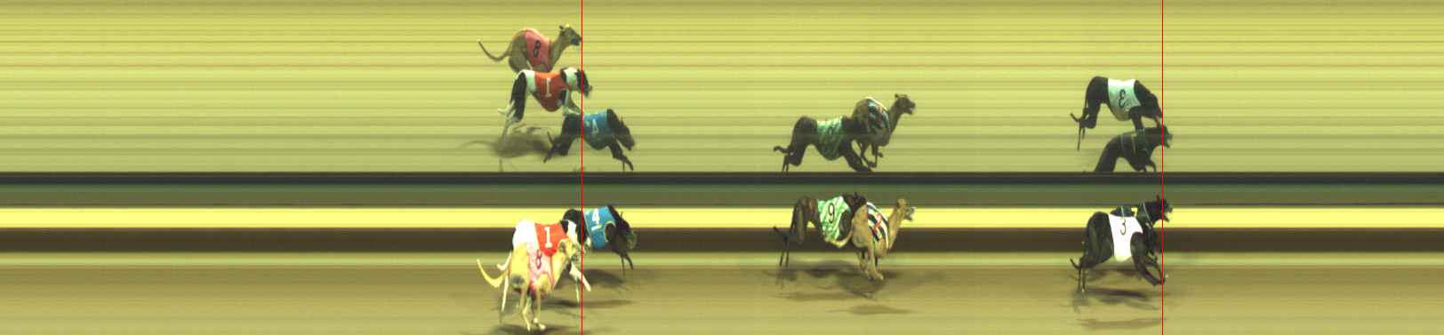 Photo finish for Warragul Race 9