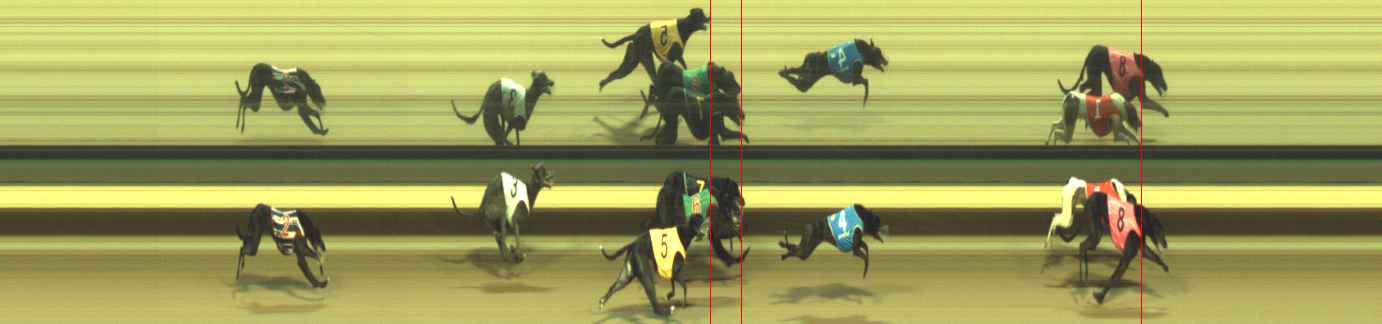 Photo finish for Warragul Race 10
