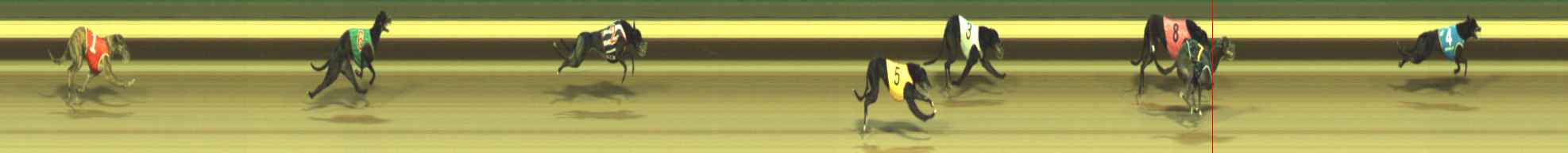 Photo finish for Warragul Race 11