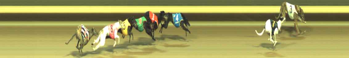 Photo finish for Warragul Race 12
