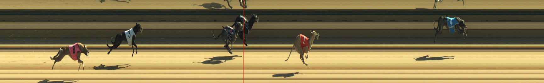 Photo finish for Warragul Race 1