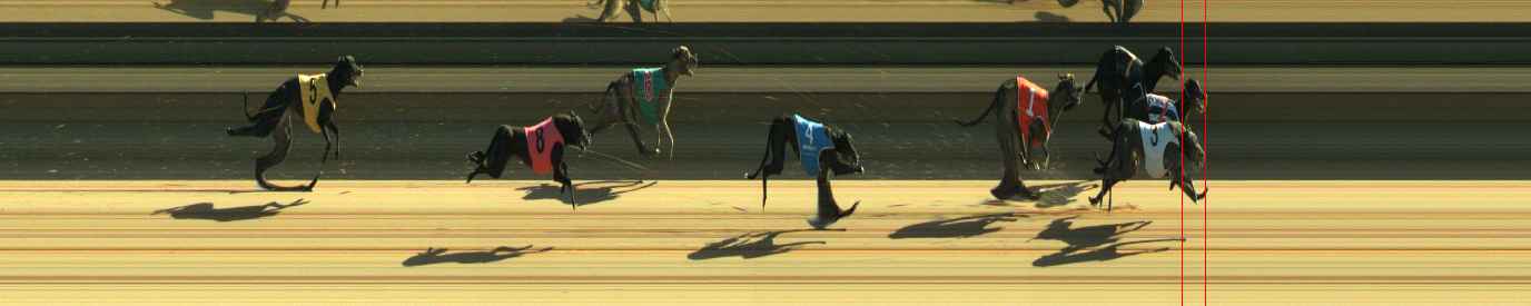 Photo finish for Warragul Race 2