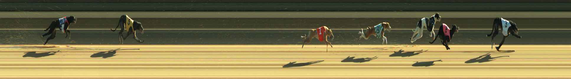 Photo finish for Warragul Race 3