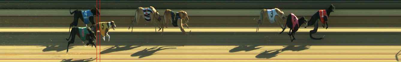 Photo finish for Warragul Race 4