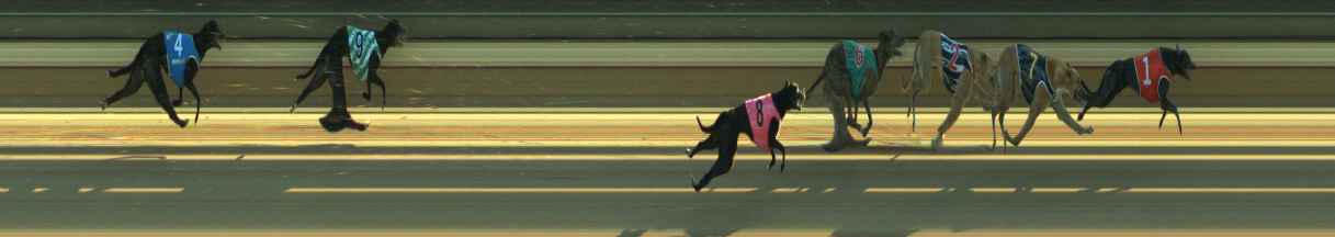 Photo finish for Warragul Race 5