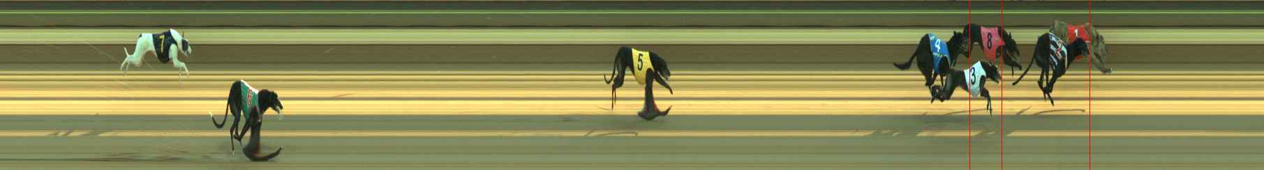 Photo finish for Warragul Race 6