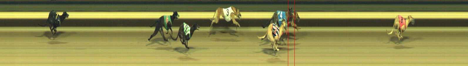 Photo finish for Warragul Race 9