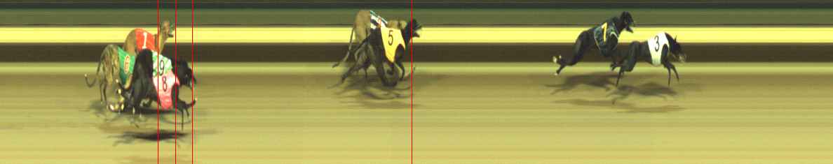 Photo finish for Warragul Race 12