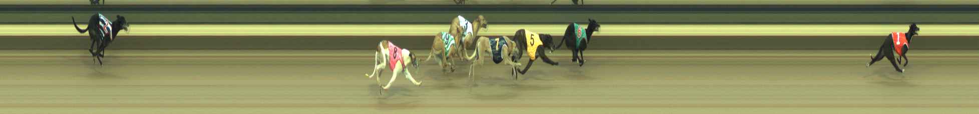 Photo finish for Warragul Race 3