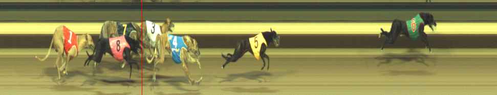 Photo finish for Warragul Race 6