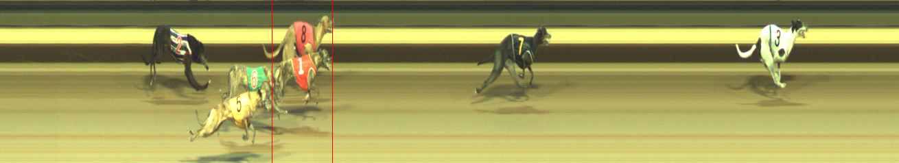 Photo finish for Warragul Race 7