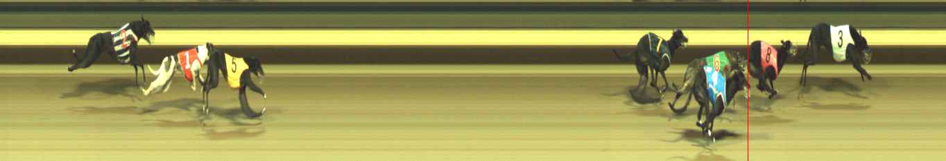 Photo finish for Warragul Race 8