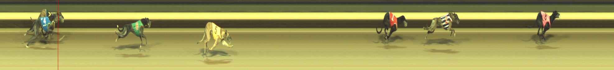Photo finish for Warragul Race 11