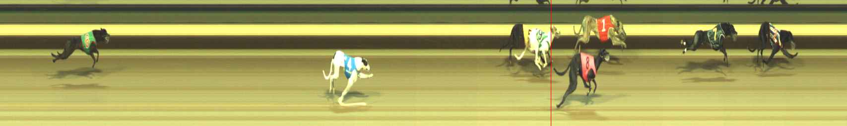 Photo finish for Warragul Race 12