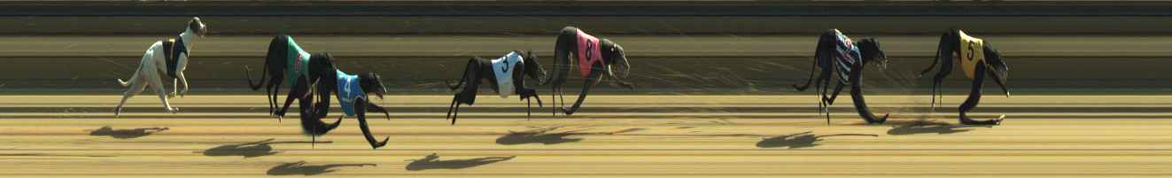Photo finish for Warragul Race 10