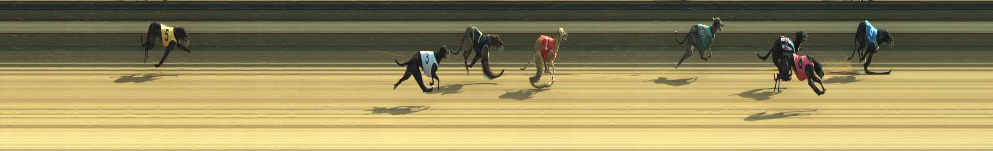 Photo finish for Warragul Race 11