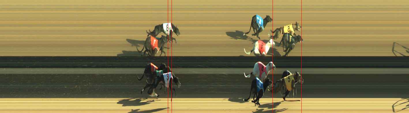 Photo finish for Warragul Race 12