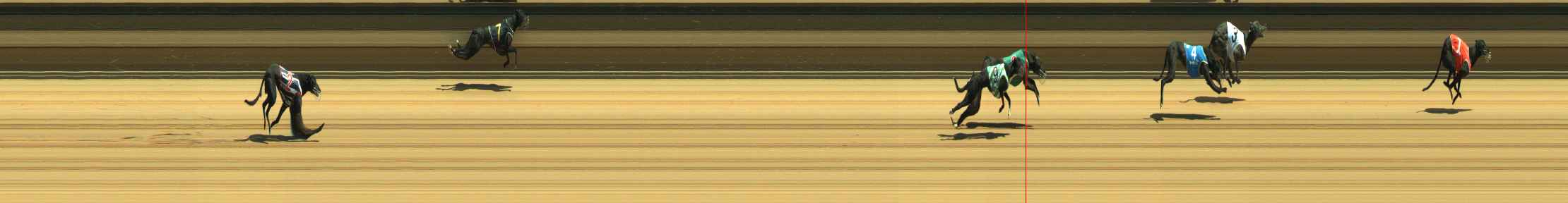 Photo finish for Warragul Race 2