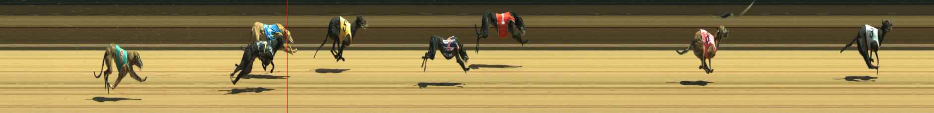 Photo finish for Warragul Race 3