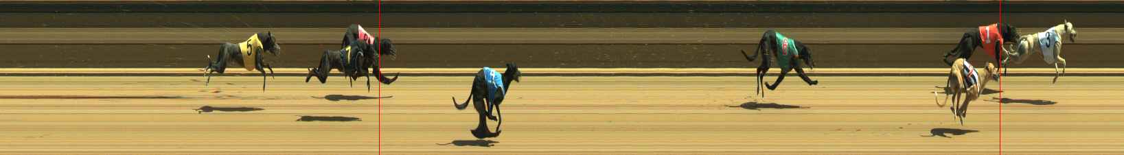 Photo finish for Warragul Race 4