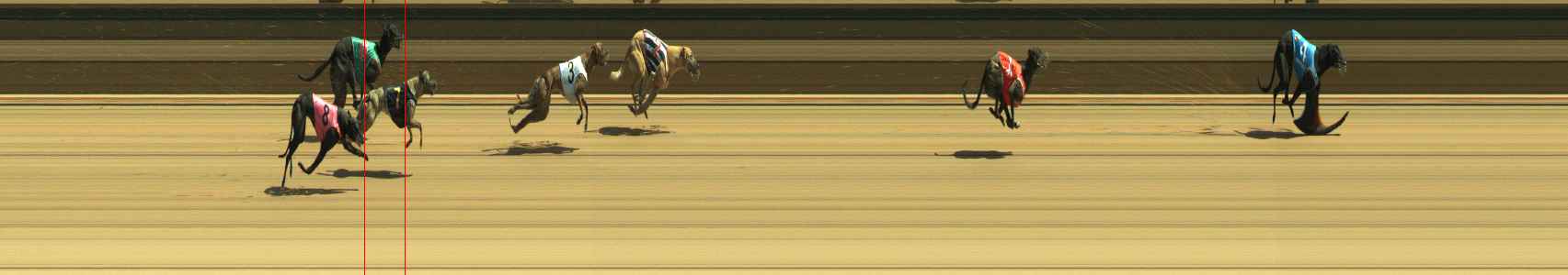 Photo finish for Warragul Race 5